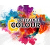 Citadel Colour: Dry Paints. farbki suche
